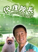 追光的日子