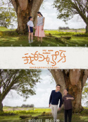 美丽男孩