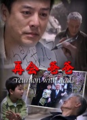 青云志