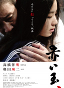 狐妖小红娘 无暮篇