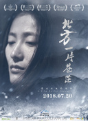 那年，草莓视频在线看APP污的夏天