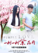 公主驾到