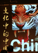 盛宠娇妻