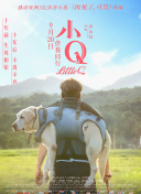中山美穗