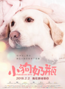 龙马精神