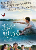 海豹看看