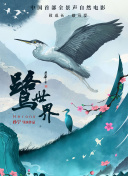 根尾明里