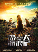 中山亞微梨