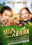 我的奇妙室友