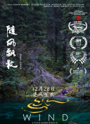 后空翻少年