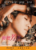 保护我方大大