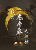 猫科动物：奇妙的动物家族