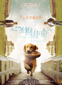 危情关系
