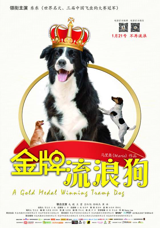 公牛