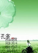 现在正在分手中