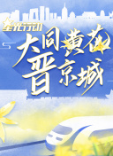 足协杯半决赛 大连人队vs山东泰山队下半场