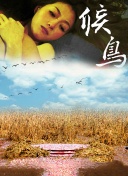不完美的她