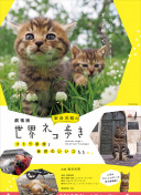 天野理繪