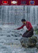只因君心知我心